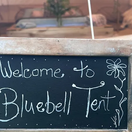 Bluebell Tent At Ballyward Croft Ardkeen Exterior photo