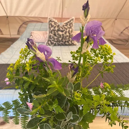 Bluebell Tent At Ballyward Croft Ardkeen Exterior photo