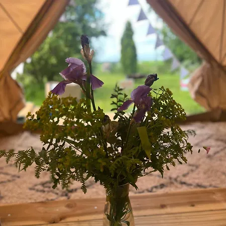 Bluebell Tent At Ballyward Croft Ardkeen Exterior photo