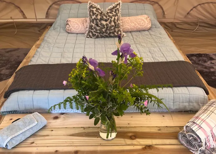 Bluebell Tent At Ballyward Croft