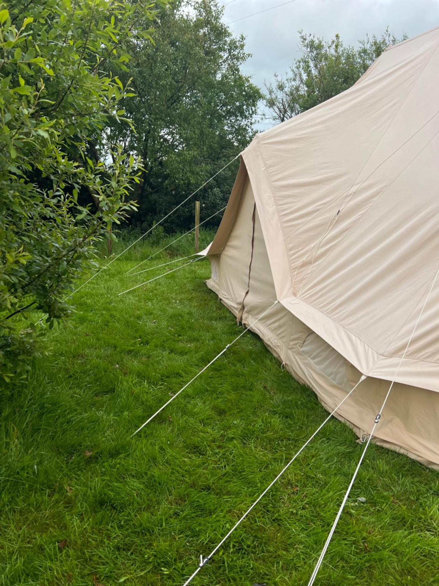 Bluebell Tent At Ballyward Croft Ardkeen