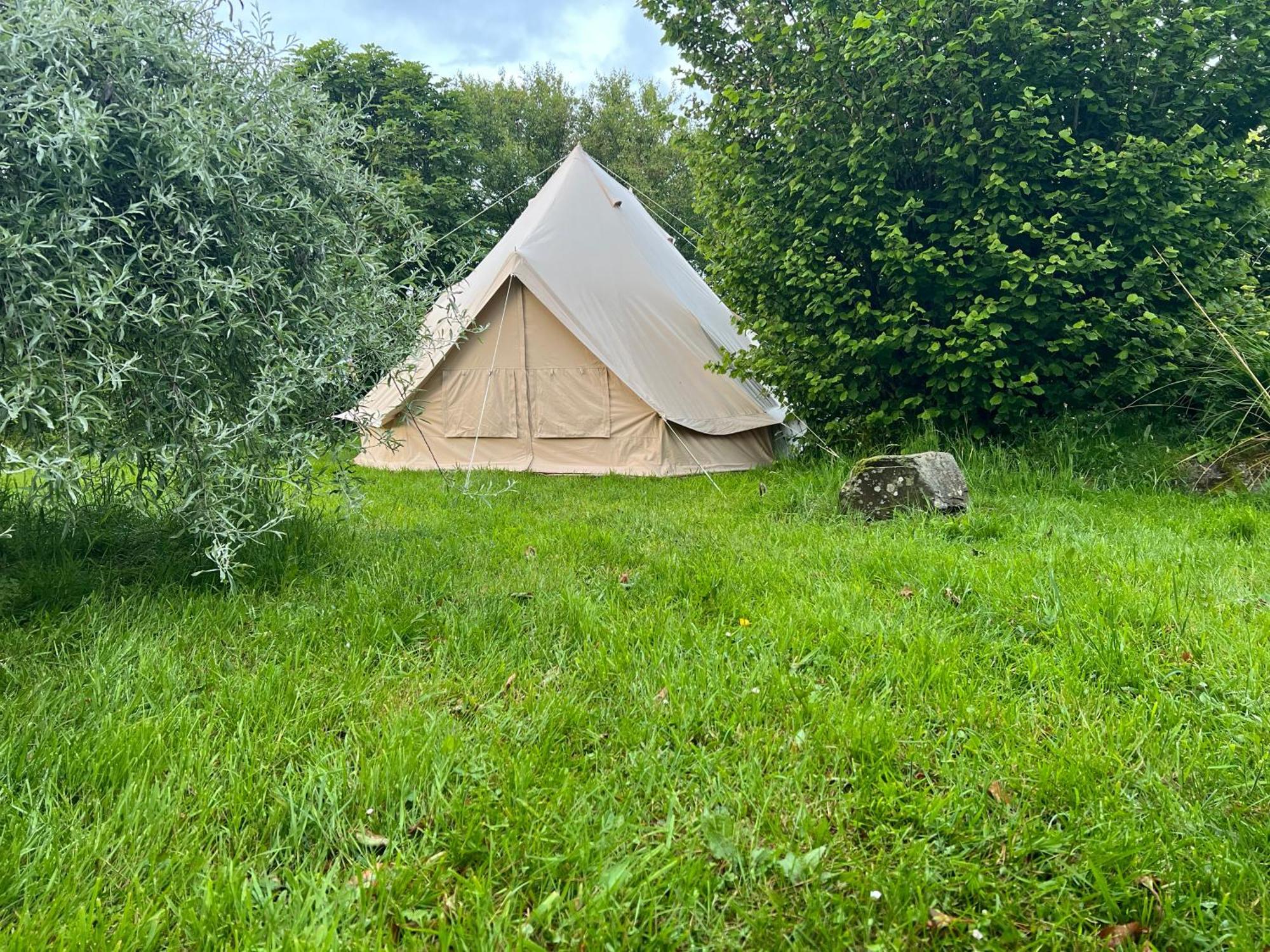 Bluebell Tent At Ballyward Croft