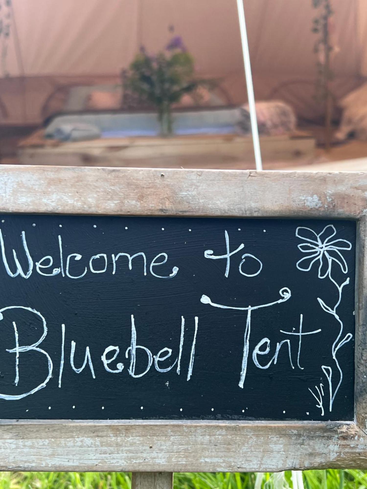 Luxe tent Bluebell Tent At Ballyward Croft Ardkeen