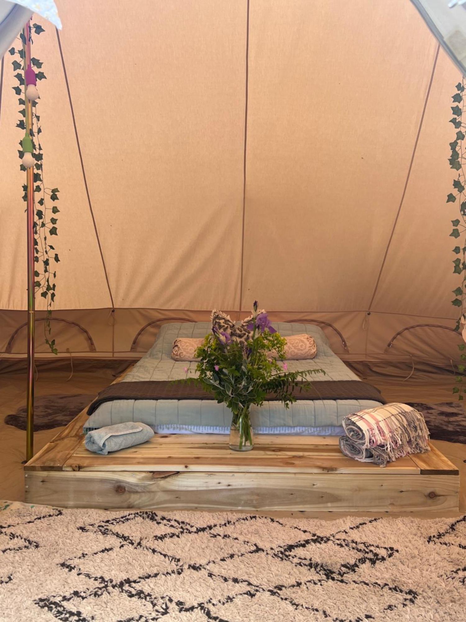 Bluebell Tent At Ballyward Croft *