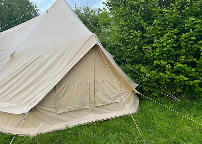Bluebell Tent At Ballyward Croft