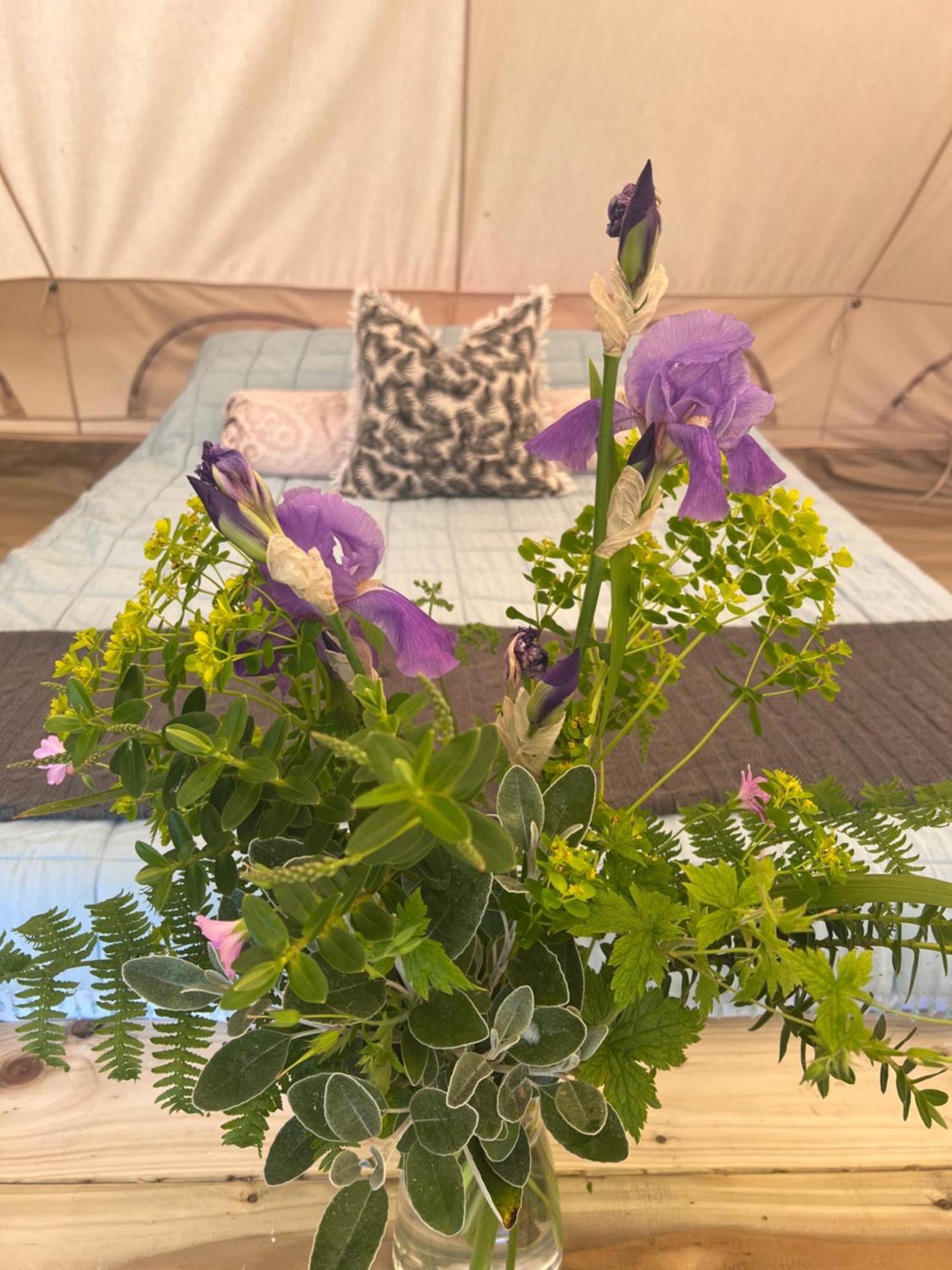 Luxury tent Bluebell Tent At Ballyward Croft Ardkeen