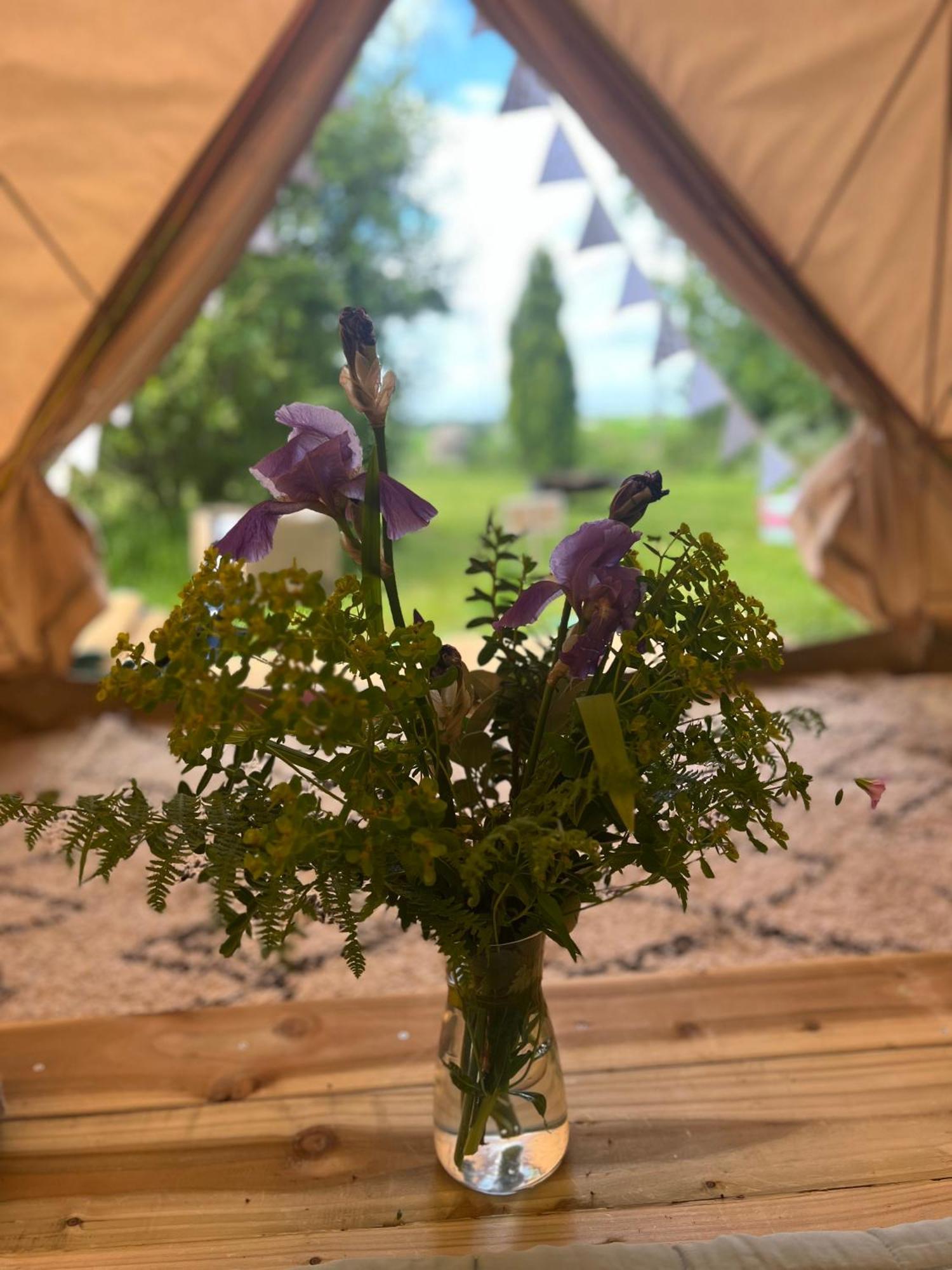 Bluebell Tent At Ballyward Croft *